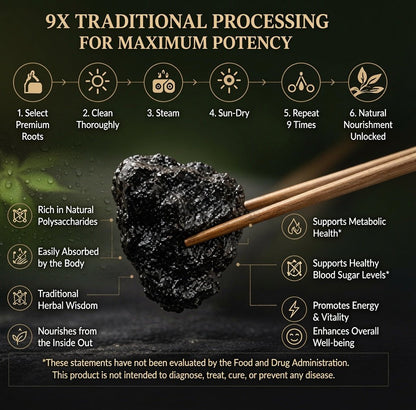 9X Prepared Rehmannia Root | Natural Blood Sugar & Metabolic Support Tonic
